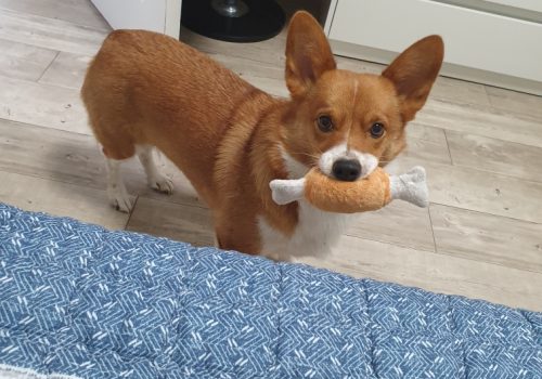 Resized_20191202_181552