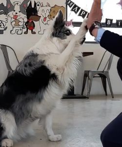 베르하이파이브_Moment