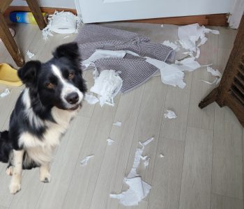 제목을-입력해주세요_-001 (44)