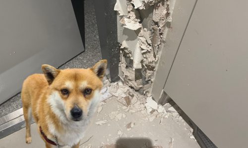 제목을-입력해주세요_-001 (61)